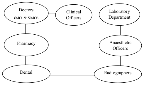 medical organogram